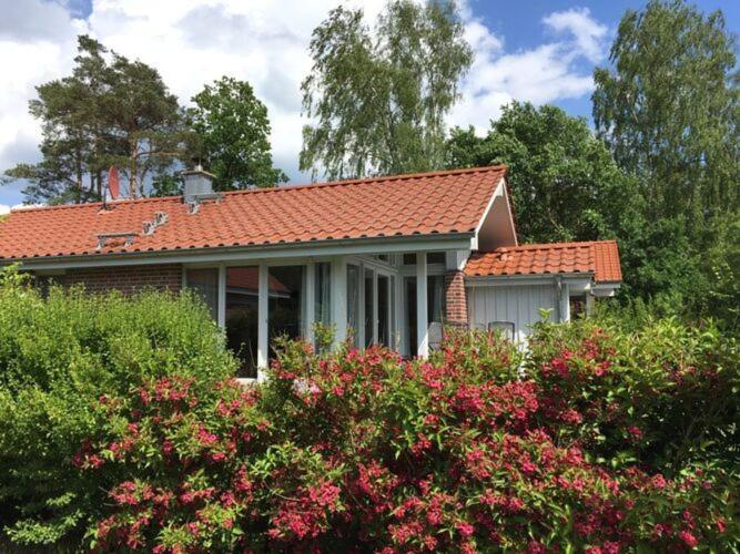 Holiday Home Mueritzhus On The Mueritz Marienfelde Exteriör bild